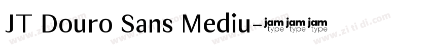 JT Douro Sans Mediu字体转换